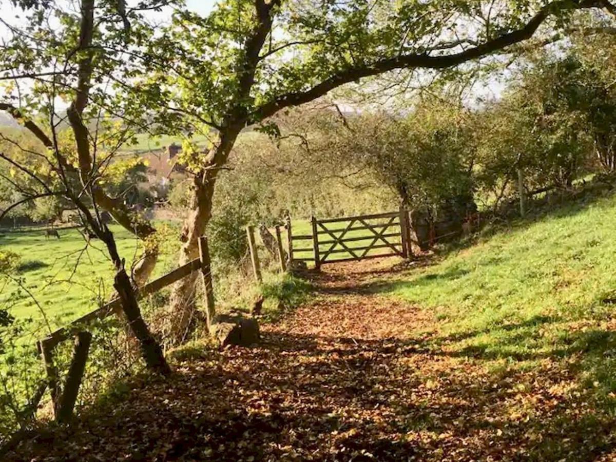 Pass The Keys Goose Feather Barn, Wedmore Luxury Cottage For Two Exteriör bild